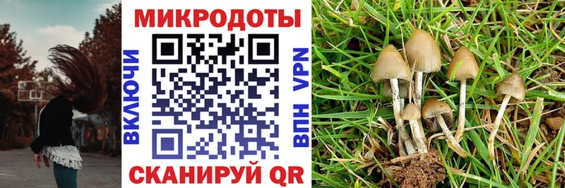 Купить закладки  Берёзовский  Псилоцибиновые грибы Psilocybe 